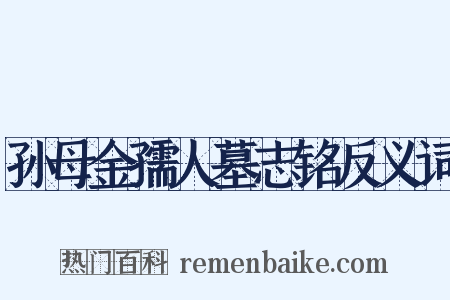 孙母金孺人墓志铭反义词是什么意思的图片
